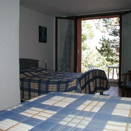 Chambres D'Hote L'Amandiere A Cucugnan Eksteriør bilde